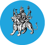 social-anivercy icon